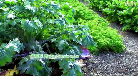 鑫東生態(tài)農(nóng)業(yè)宣傳片