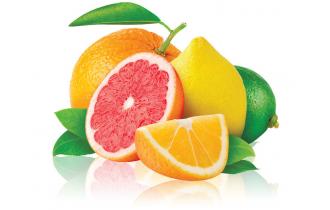 鑫東生態(tài)柑橘