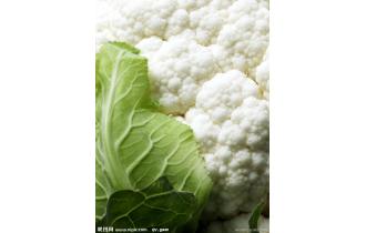 鑫東有機(jī)白花菜