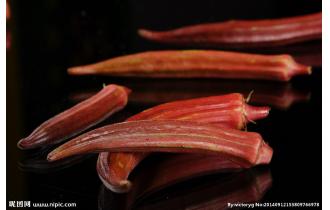 鑫東有機(jī)紅秋葵