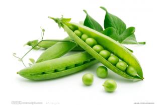 鑫東有機四季豆