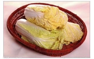 鑫東有機(jī)娃娃菜