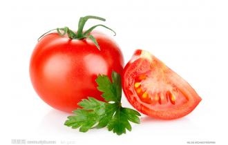 鑫東有機西紅柿