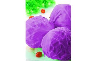 鑫東有機(jī)紫甘藍(lán)