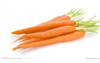 鑫東有機(jī)胡蘿卜