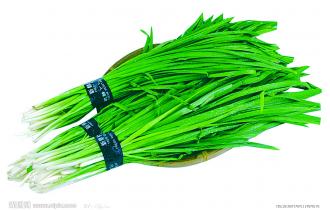 鑫東有機(jī)韭菜